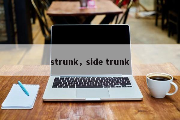 strunk，side trunk