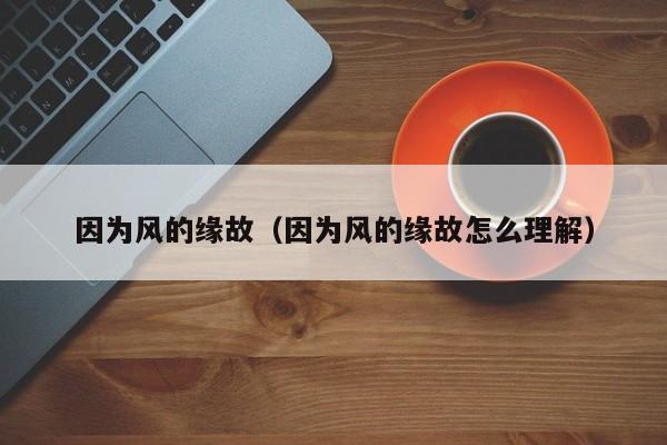 因为风的缘故（因为风的缘故怎么理解）