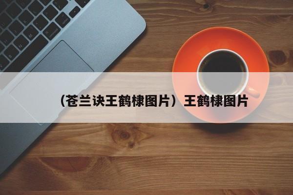 （苍兰诀王鹤棣图片）王鹤棣图片