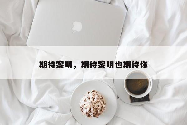 期待黎明，期待黎明也期待你