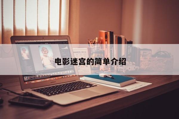 电影迷宫的简单介绍