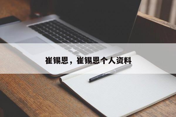 崔锡恩，崔锡恩个人资料