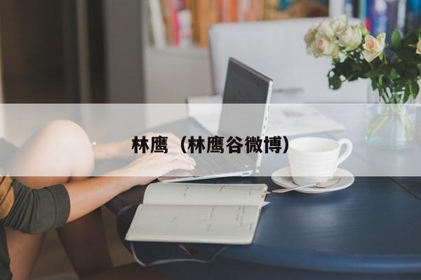 林鹰（林鹰谷微博）