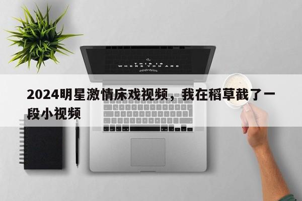 2024明星激情床戏视频，我在稻草截了一段小视频