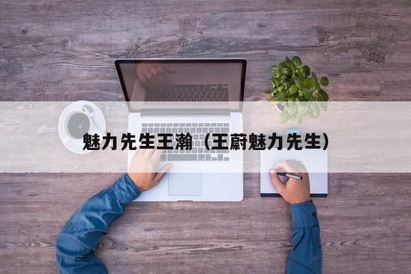 魅力先生王瀚（王蔚魅力先生）