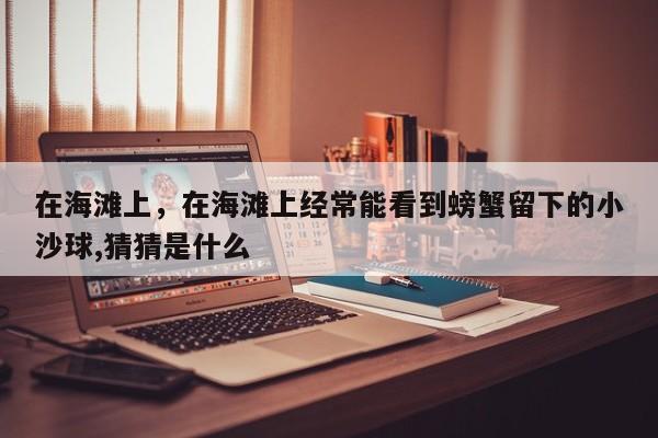 在海滩上，在海滩上经常能看到螃蟹留下的小沙球,猜猜是什么