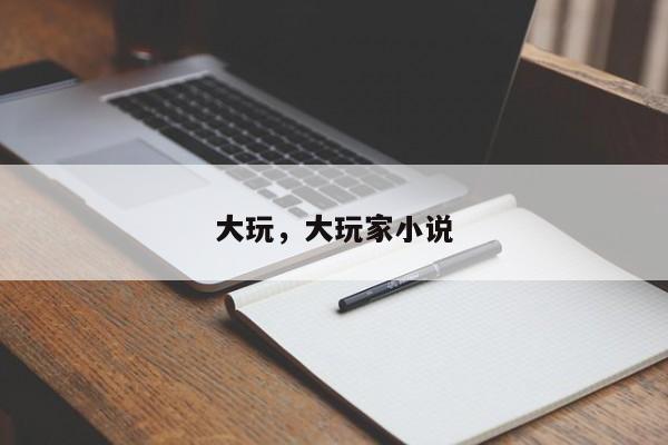 大玩，大玩家小说