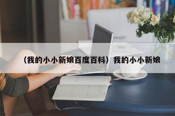 （我的小小新娘百度百科）我的小小新娘