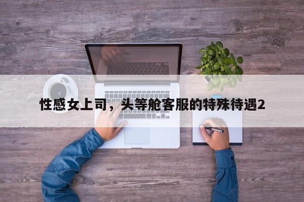 性感女上司，头等舱客服的特殊待遇2
