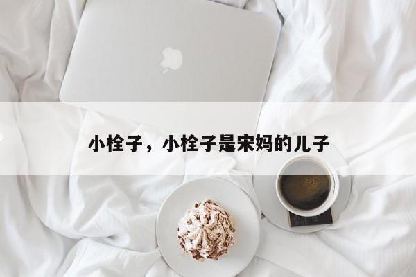 小栓子，小栓子是宋妈的儿子